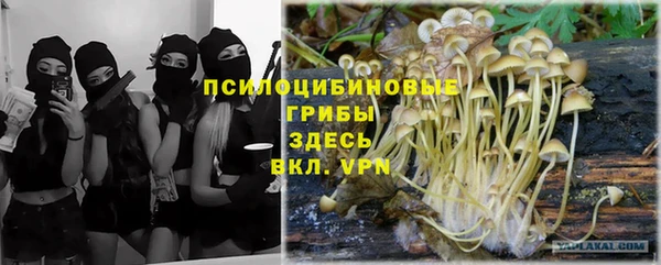 PSILOCYBIN Костерёво